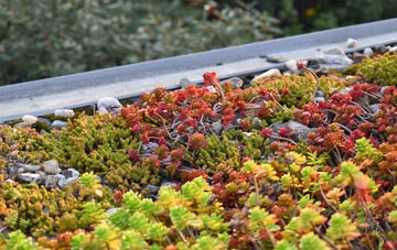 the cost of Trussall green roof installation