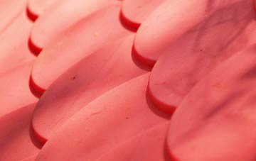 Trussall plastic roof costs